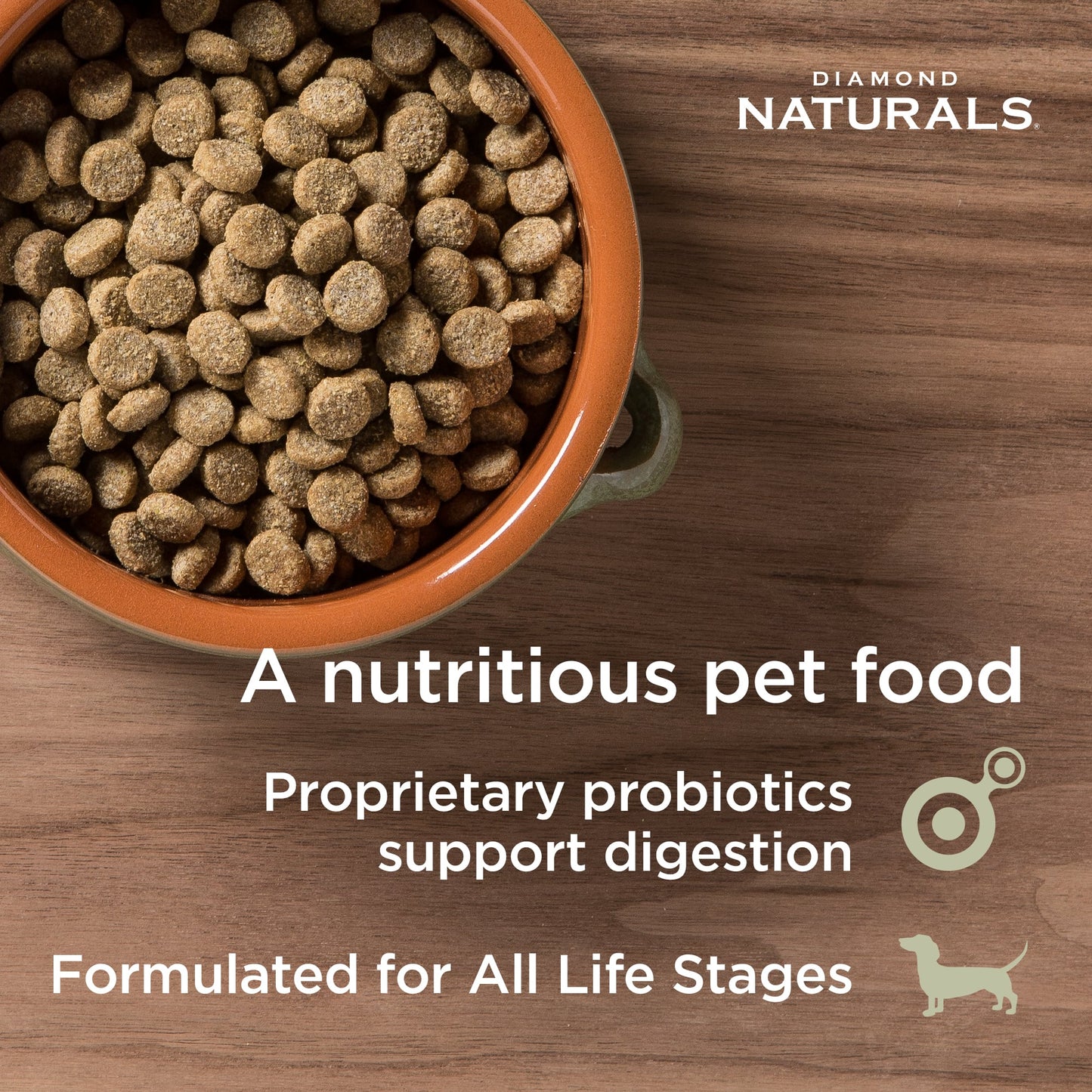 Diamond Naturals Dog Food-Skin&Coat All Life Stages