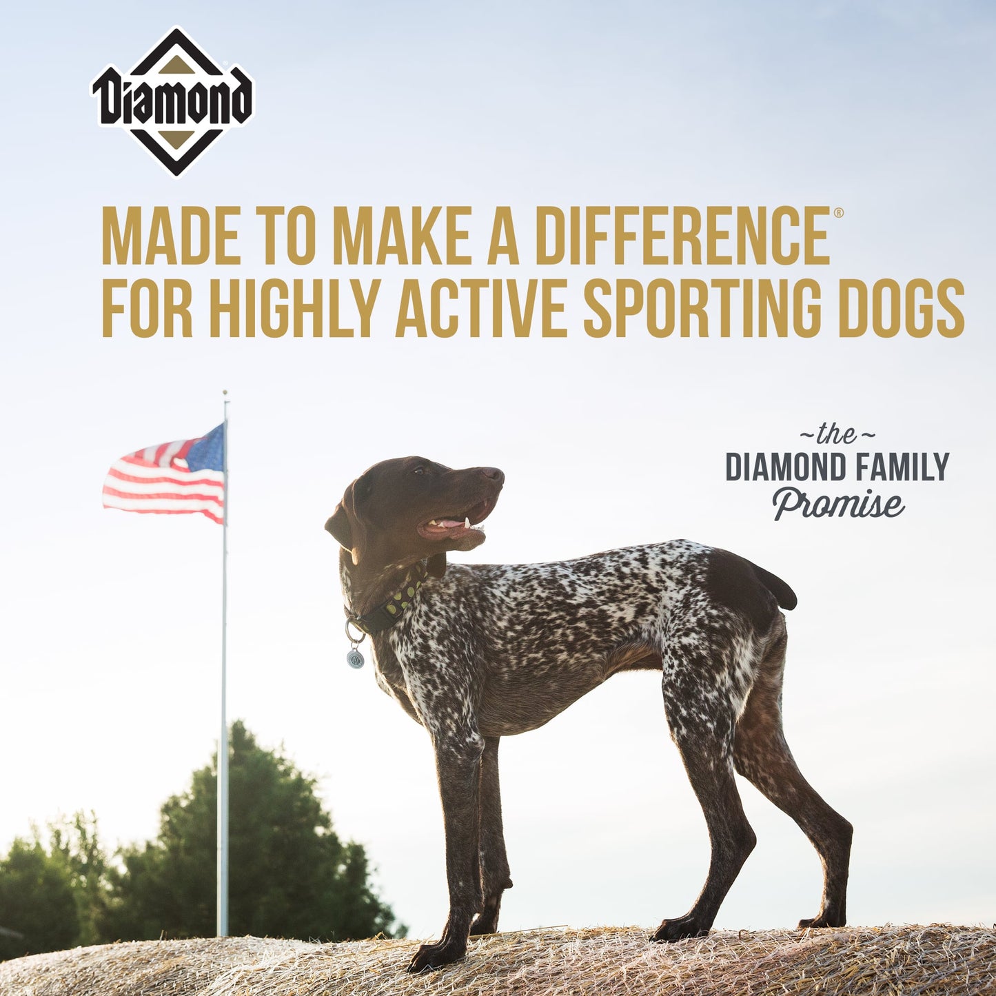 Diamond Dog Food- Hi-Energy